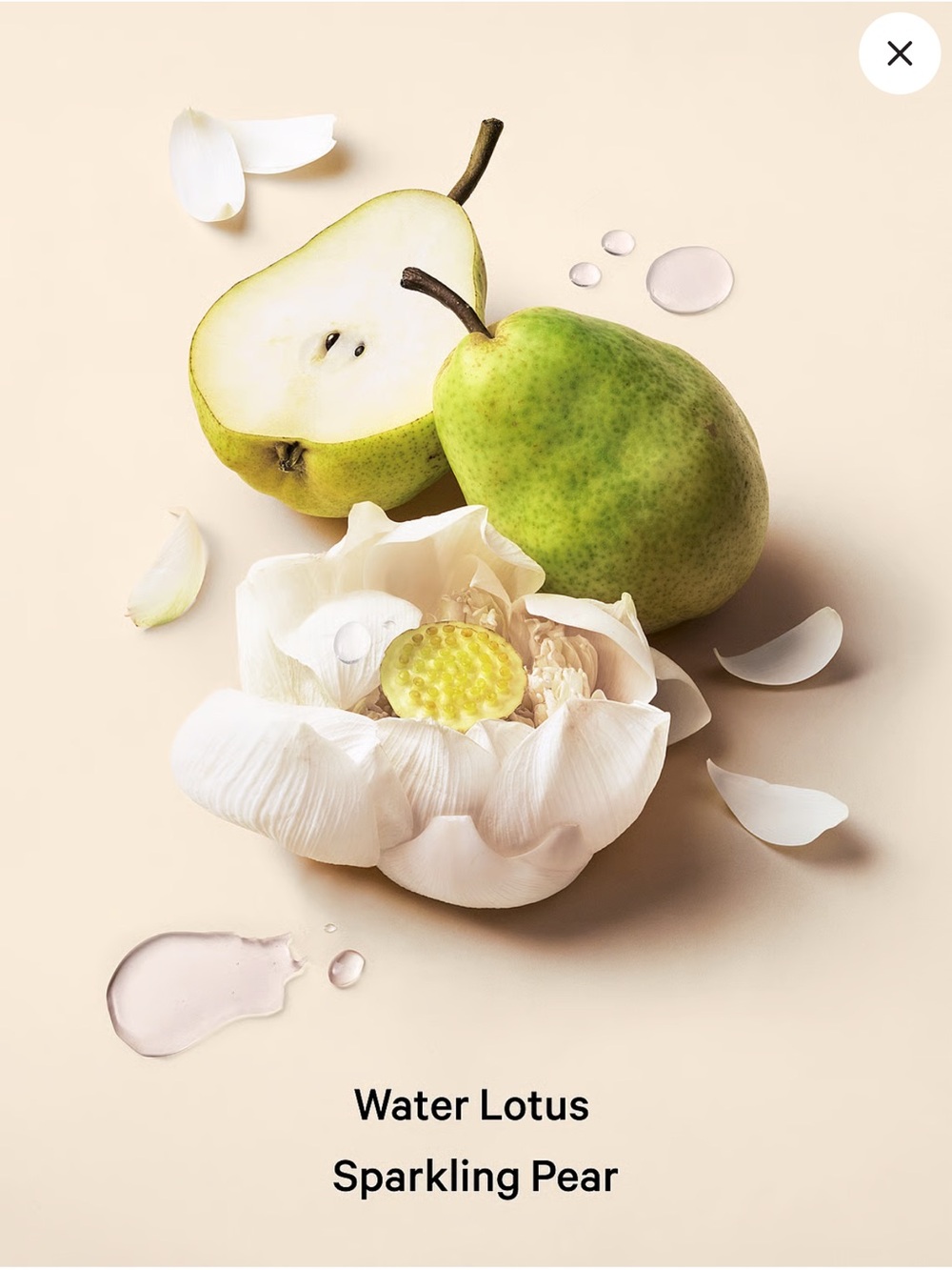 Aqua Kiss Vacation VS Fragrance Lotion - Picture 2 of 5